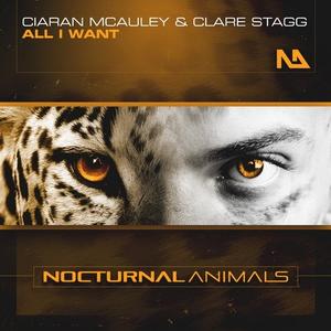 &copy; Nocturnal Animals