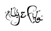 &copy; Aly & Fila