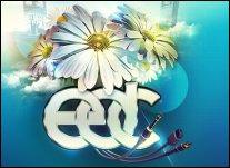 &copy; Electric Daisy Festival