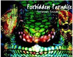 &copy; Provided by Basic Beat