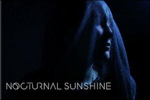 &copy; Nocturnal Sunshine