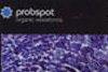 &copy; Probspot