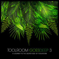 © Toolroom Records